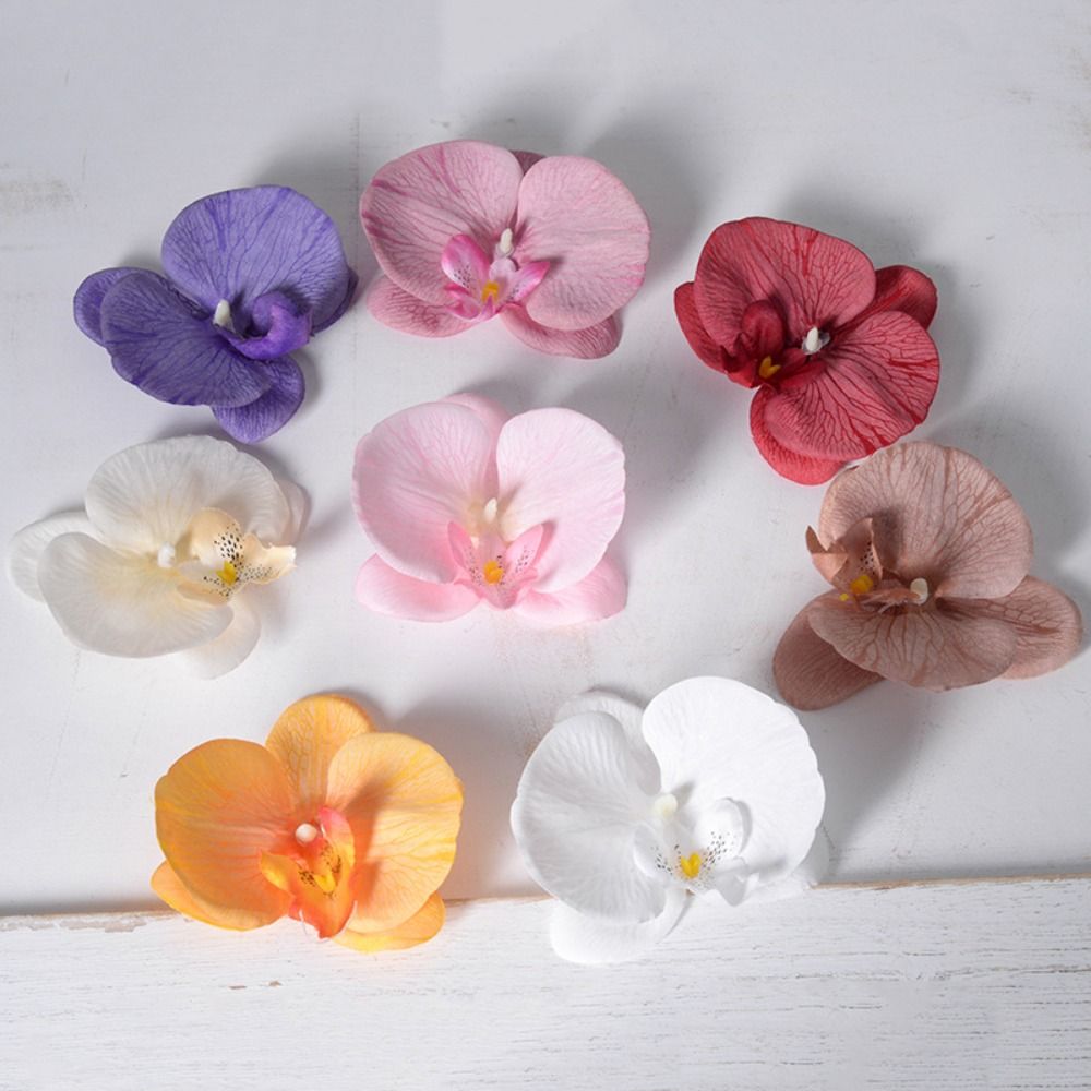 Orchid Phalaenopsis - Cabeça de Flor de Phalaenopsis DIY