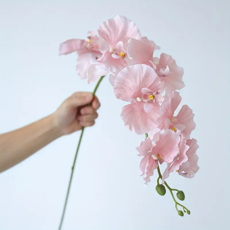 Orchid Phalaenopsis - Ramo longo borboleta orquídeas flores artificiais