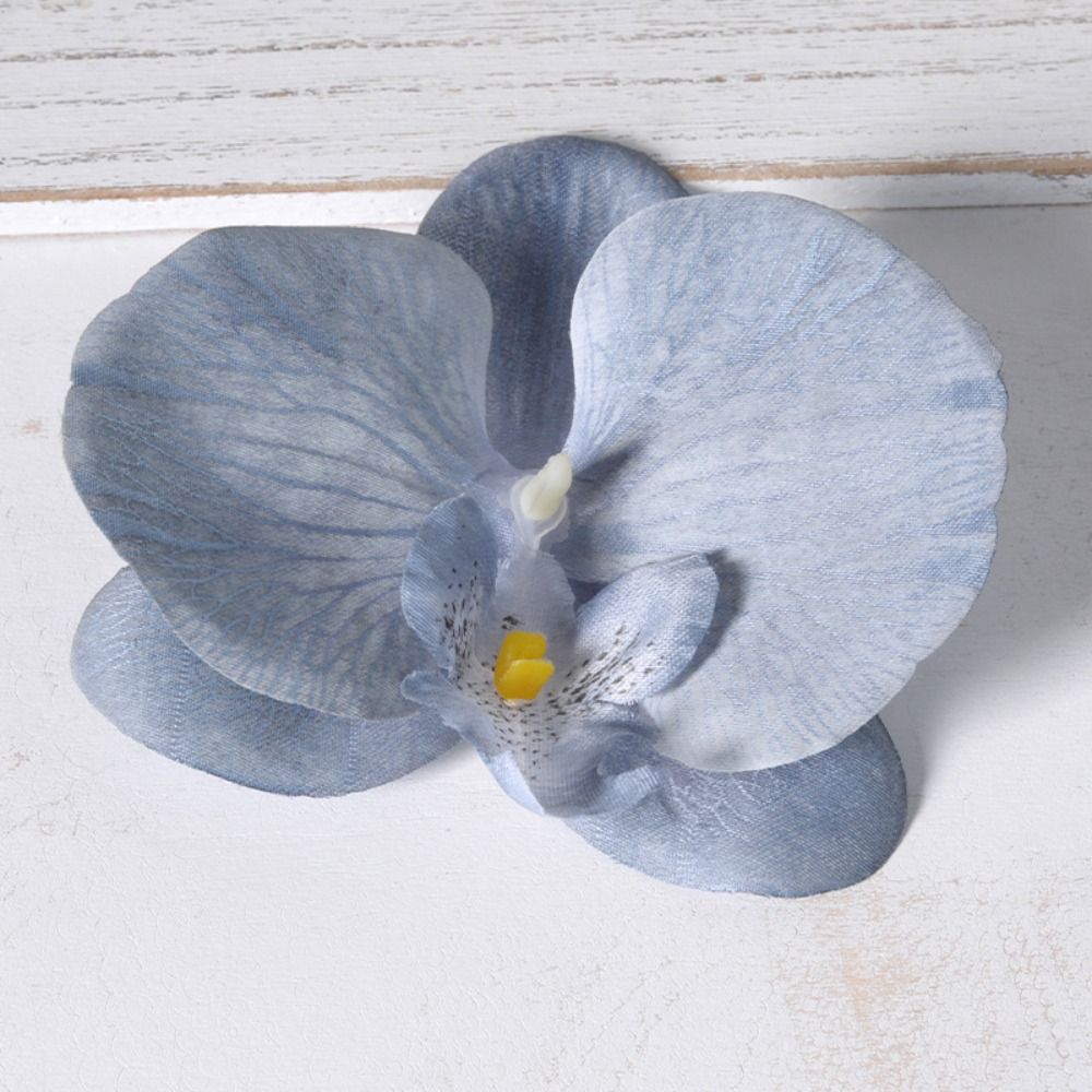 Orchid Phalaenopsis - Cabeça de Flor de Phalaenopsis DIY