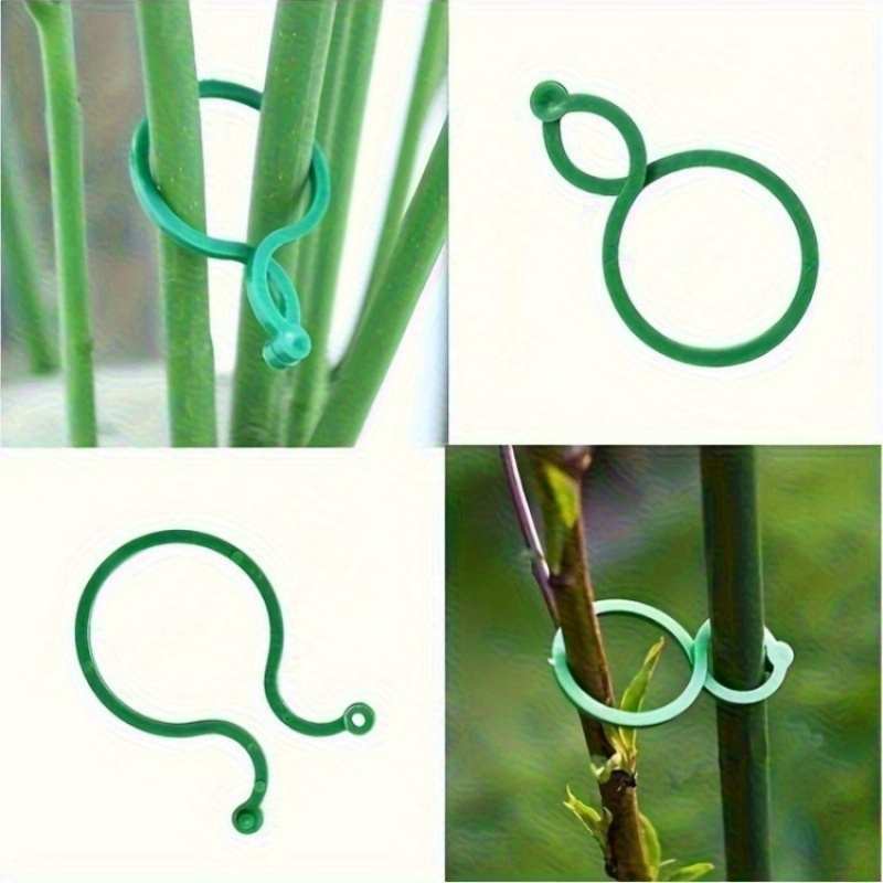 Kit de Suporte para Plantas de - Plant Parent Kit avaliação e preço