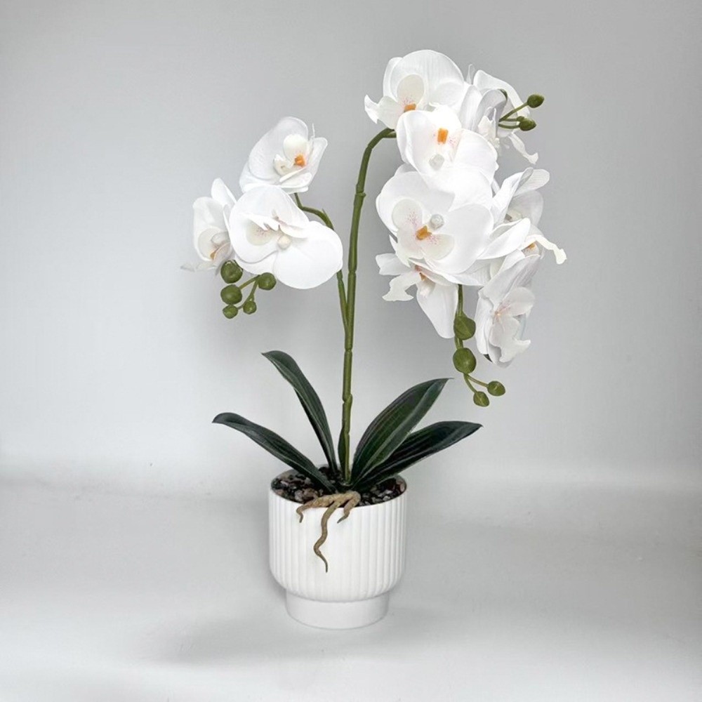 Orquídea Borboleta Artificial  - Orchid Phalaenopsis avaliação e preço