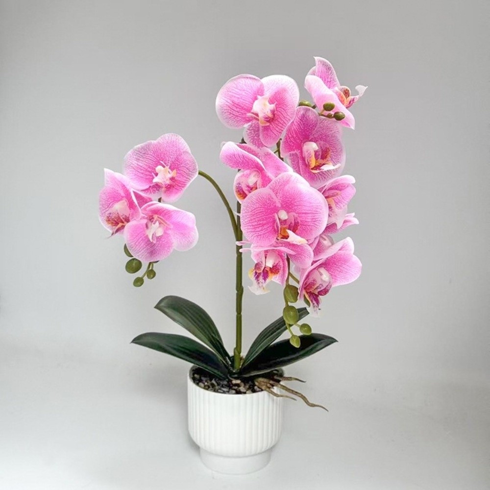 Orquídea Borboleta Artificial  - Orchid Phalaenopsis avaliação e preço