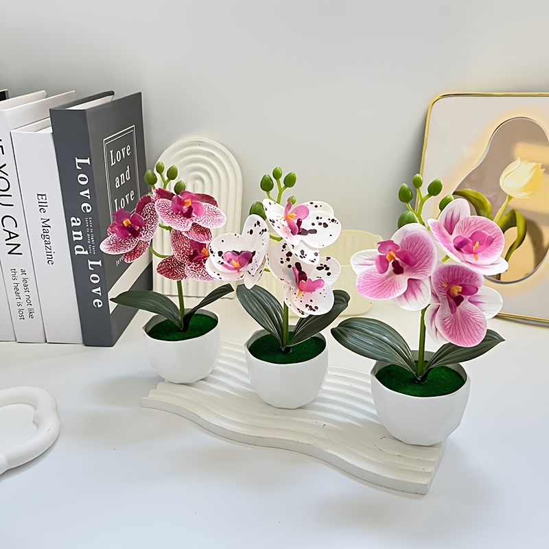 3 peças de Orquídeas Phalaenop - Orchid Phalaenopsis avaliação e preço
