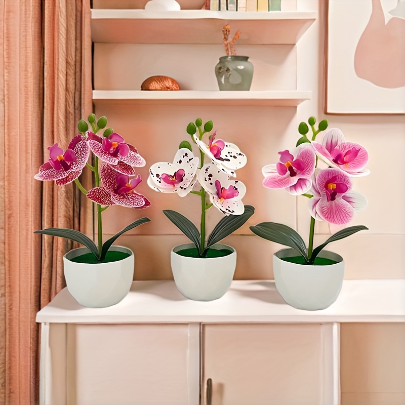 3 peças de Orquídeas Phalaenop - Orchid Phalaenopsis avaliação e preço