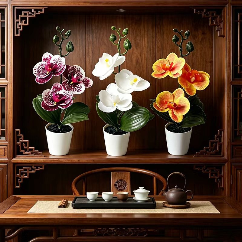 Mini Orquídea Borboleta em Vas - Orchid Phalaenopsis avaliação e preço