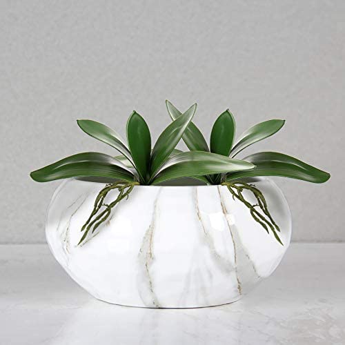 Folhas artificiais de Phalaeno - Orchid Phalaenopsis avaliação e preço