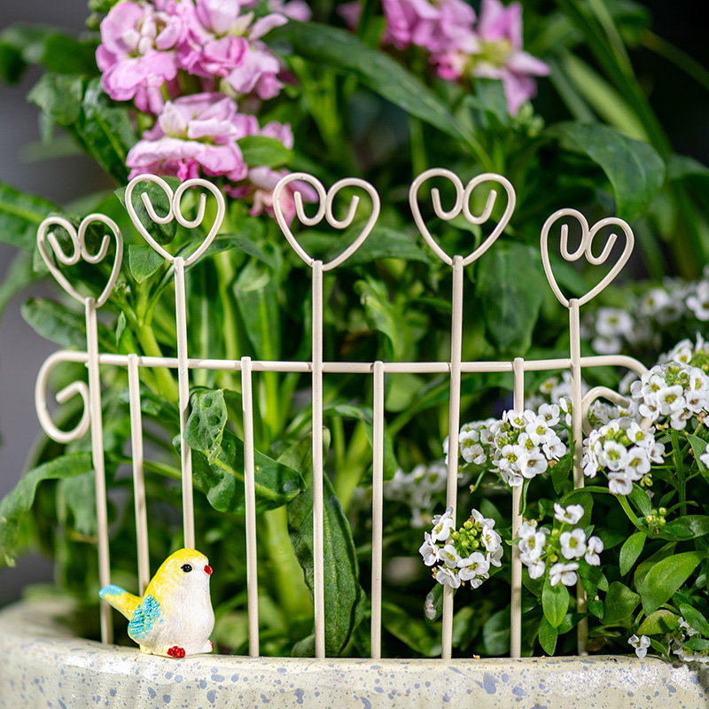 Mini Cerca de Ferro Criativa e - Succulent Arrangement Mini avaliação e preço