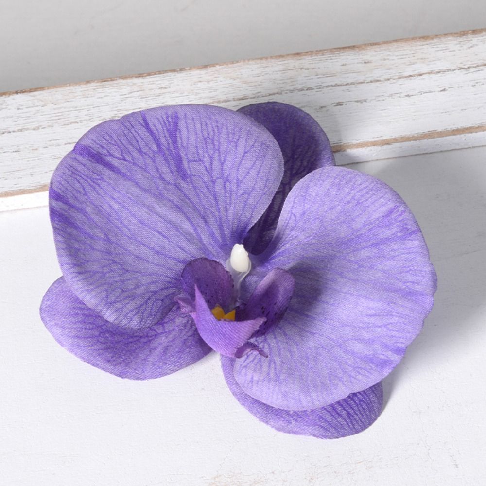 Cabeça de Flor de Phalaenopsis - Orchid Phalaenopsis avaliação e preço