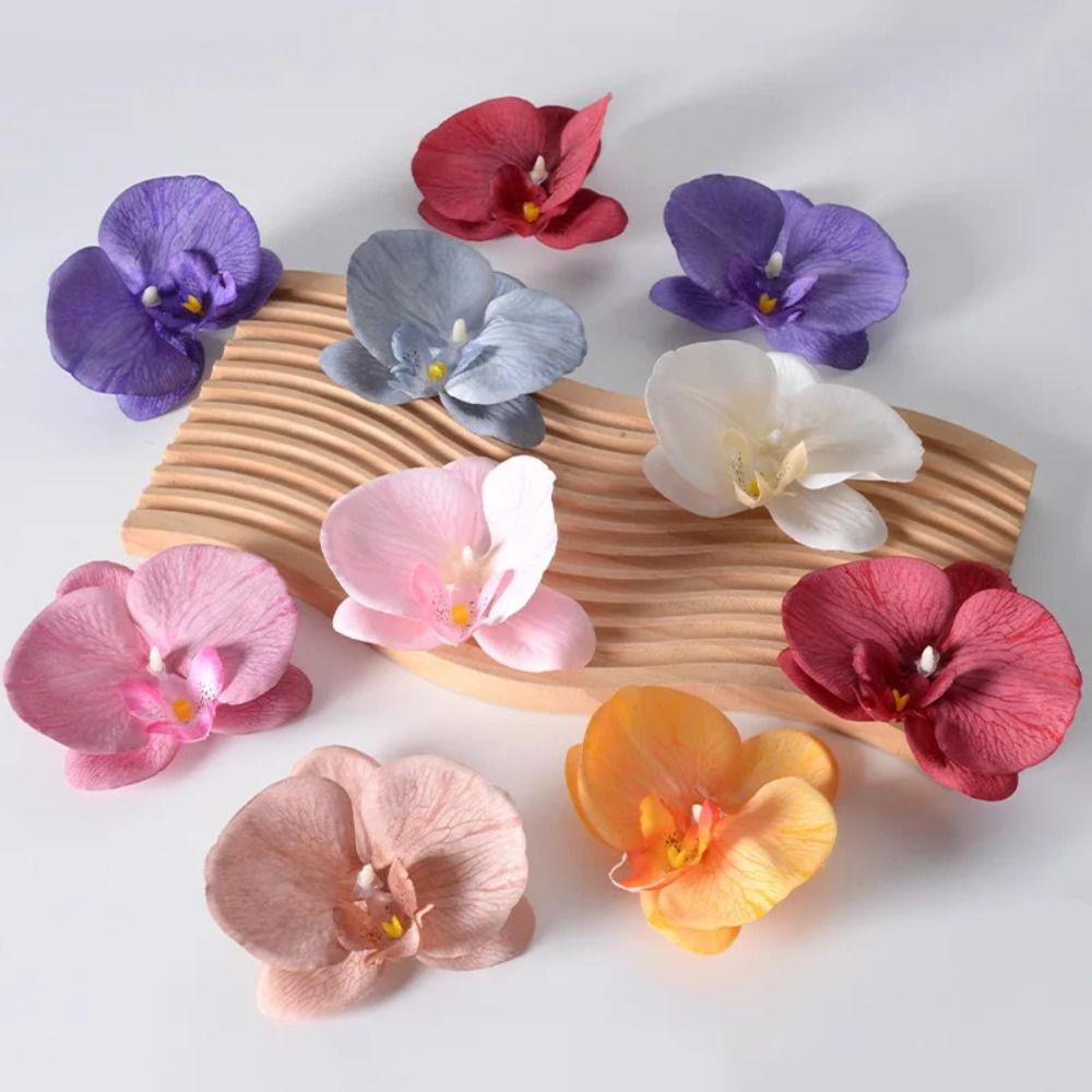 Cabeça de Flor de Phalaenopsis - Orchid Phalaenopsis avaliação e preço