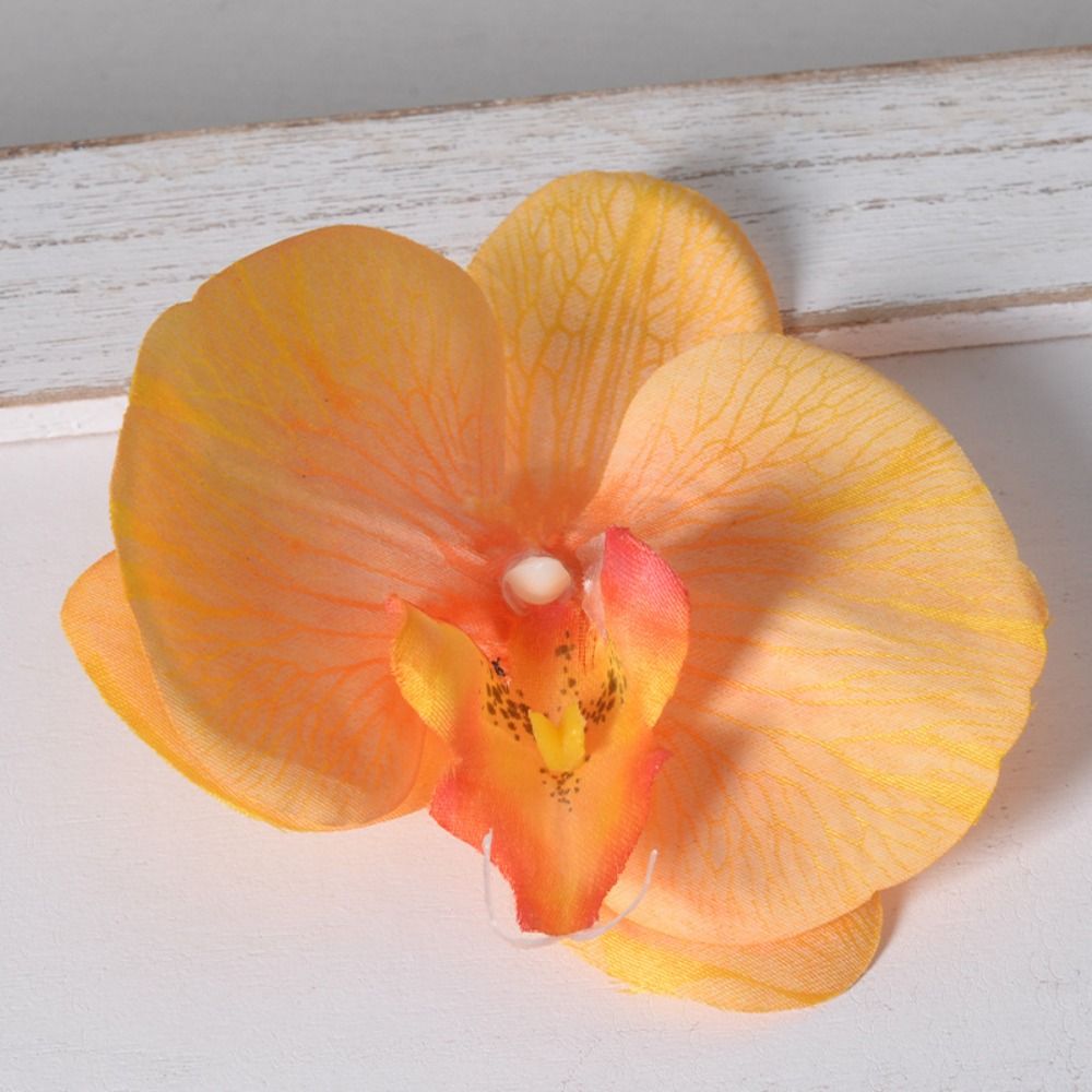 Cabeça de Flor de Phalaenopsis - Orchid Phalaenopsis avaliação e preço