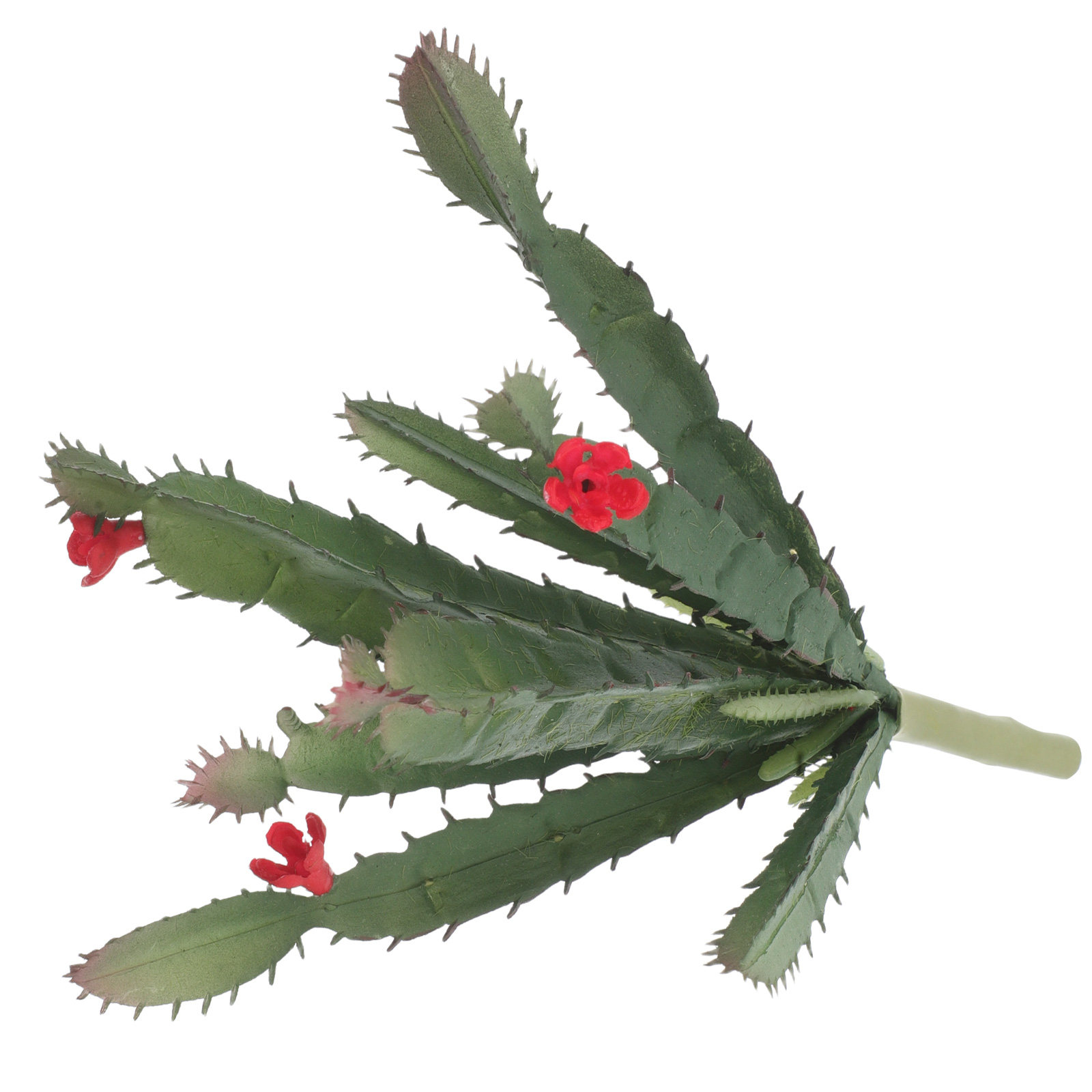 Arranjo de Mini Suculentas e C - Succulent Arrangement Mini avaliação e preço