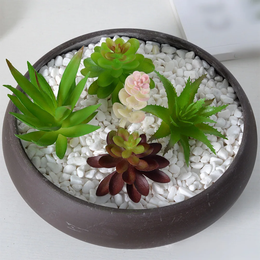 Baixa manutenção para arranjos - Succulent Arrangement Mini avaliação e preço