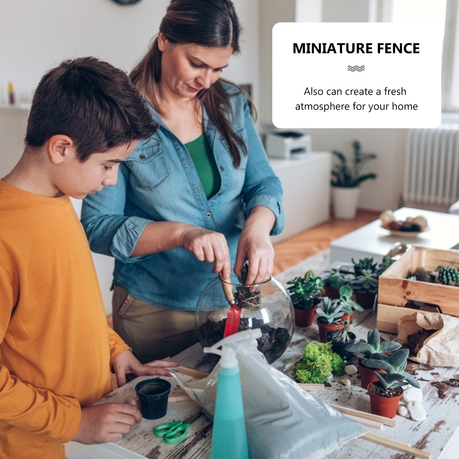 Conjunto de 12 Peças de Mini C - Succulent Arrangement Mini avaliação e preço