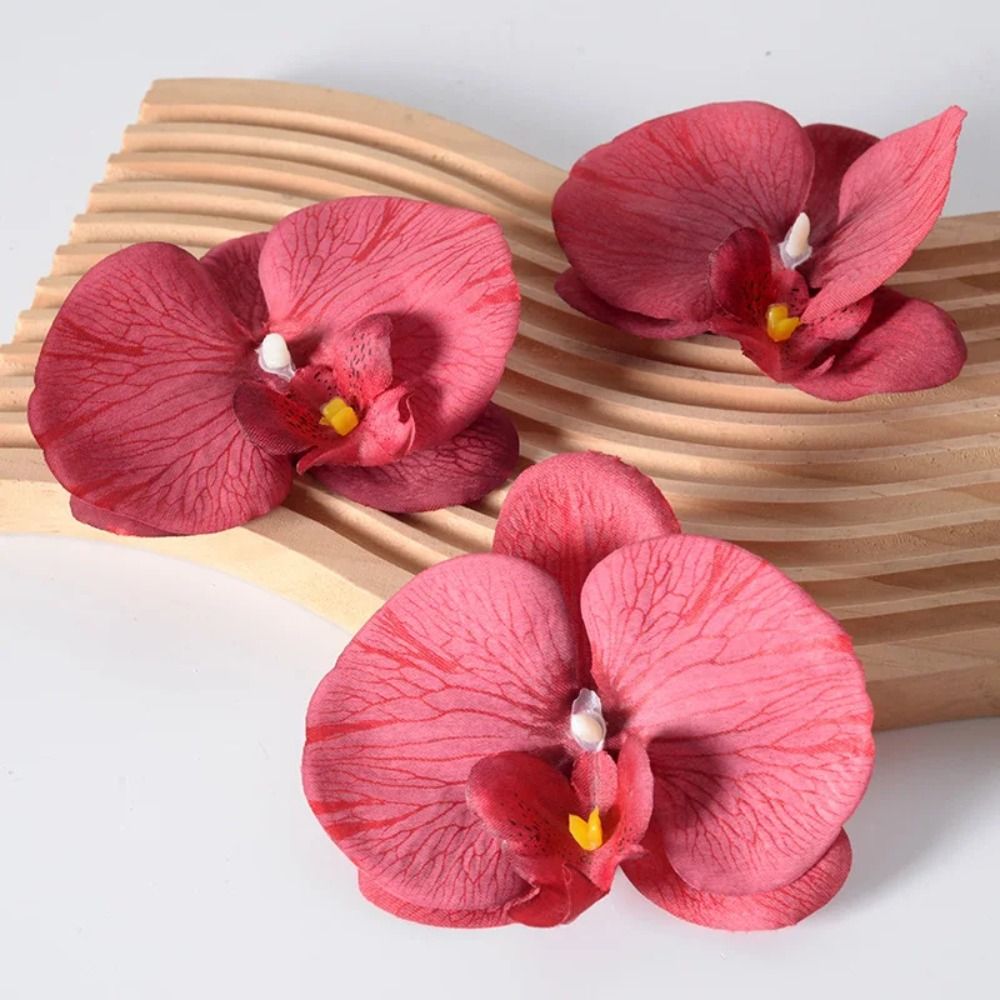 Cabeça de Flor de Phalaenopsis - Orchid Phalaenopsis avaliação e preço