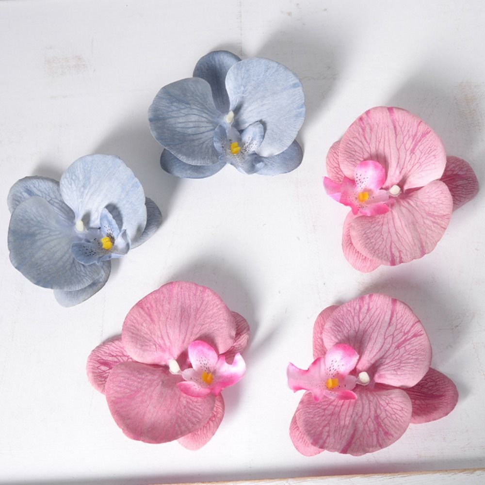 Cabeça de Flor de Phalaenopsis - Orchid Phalaenopsis avaliação e preço
