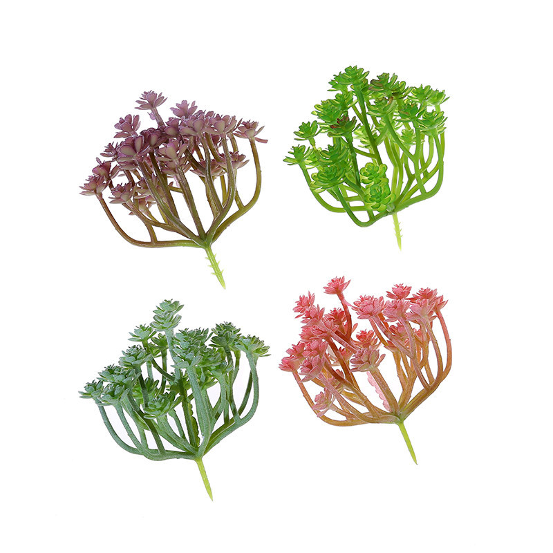 Wusmart-Grandes suculentas art - Succulent Arrangement Mini avaliação e preço