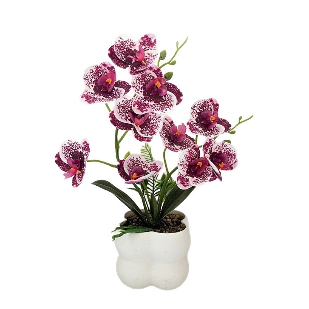 Orquídea Borboleta Simulada Mu - Orchid Phalaenopsis avaliação e preço