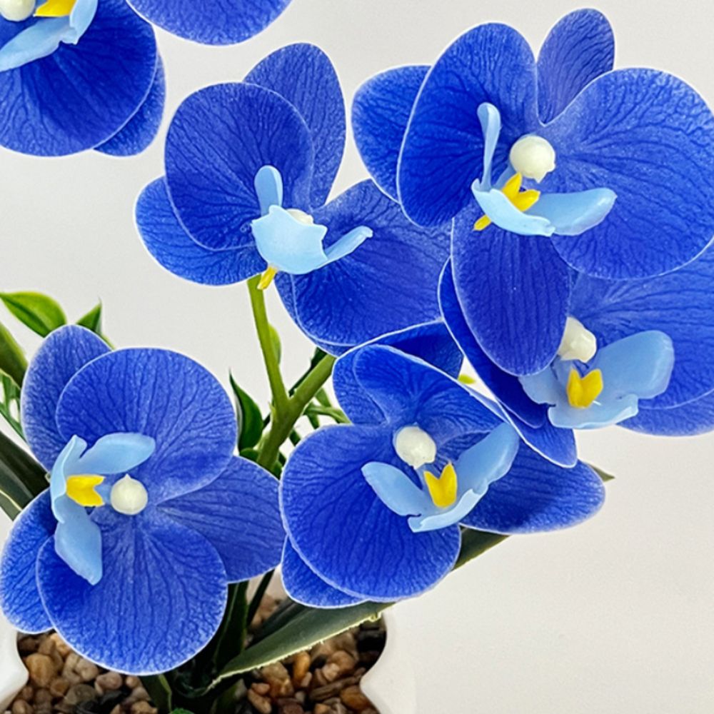 Orquídea Borboleta Simulada Mu - Orchid Phalaenopsis avaliação e preço