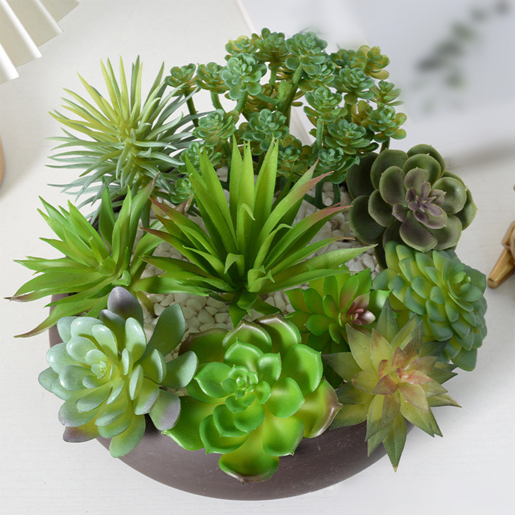 Vaso de Planta Redondo com Dre - Succulent Arrangement Mini avaliação e preço