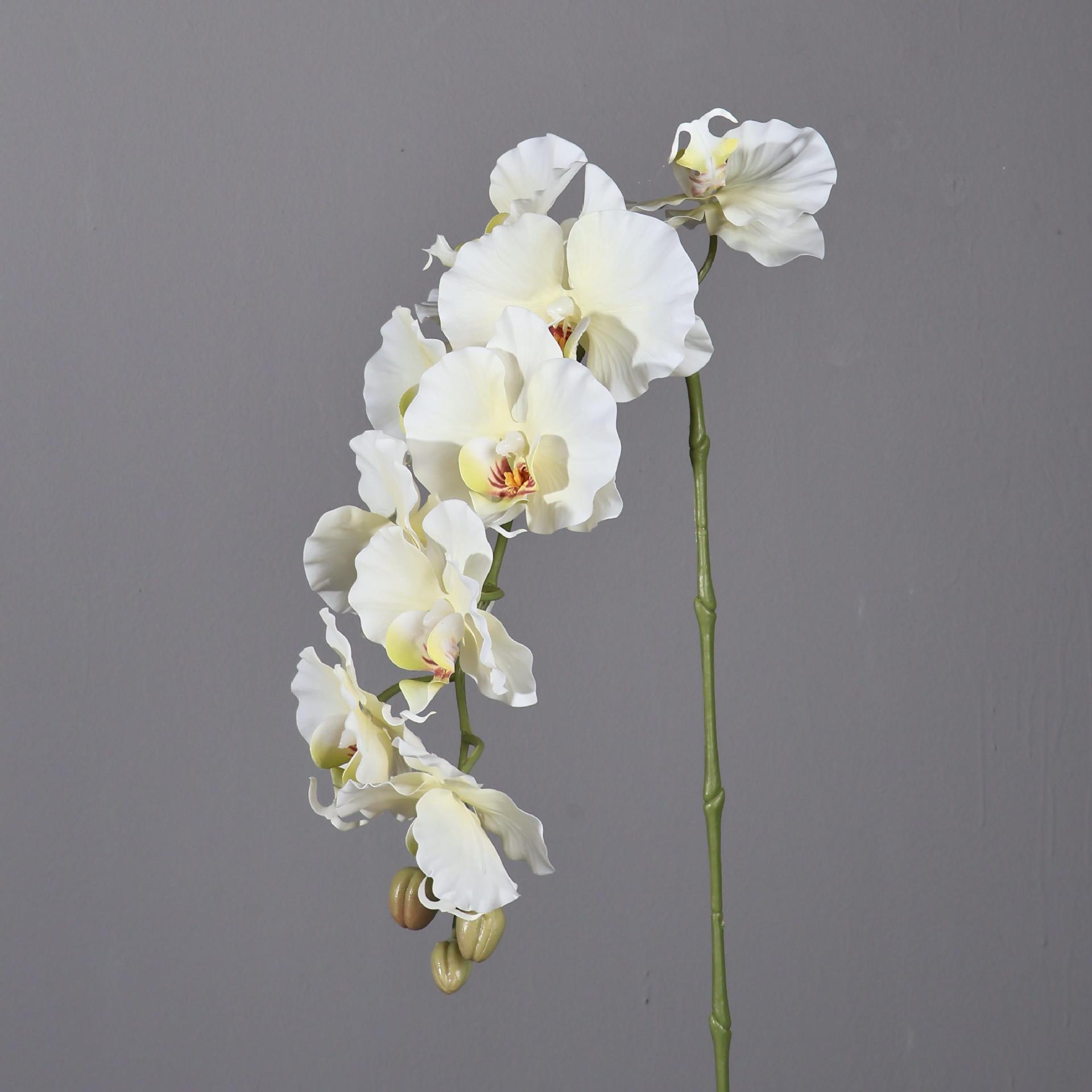 38.6 Polegada 9 cabeças estilo - Orchid Phalaenopsis avaliação e preço