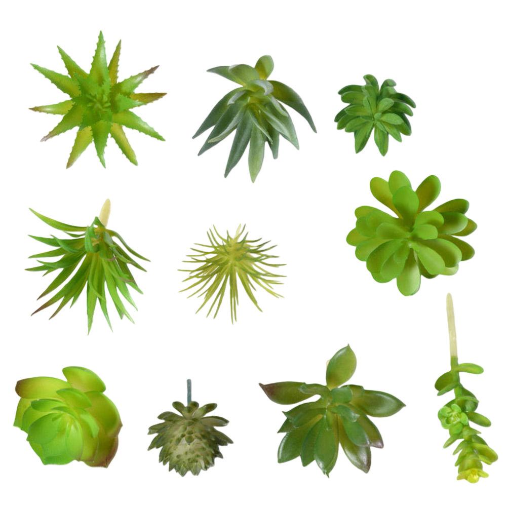 Acessório de Fotografia para A - Succulent Arrangement Mini avaliação e preço